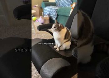 Please Fix His Posture