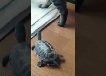 He Won’t Leave Him Alone