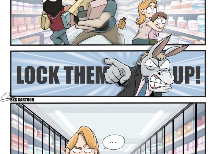 Instead of lock up the thieves, you can lock up the goods!