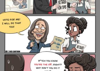 #debate point in cartoon, part four: Policies