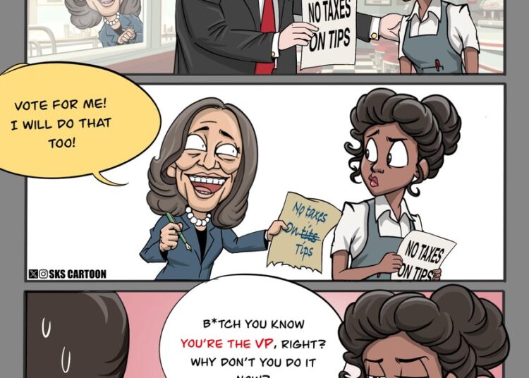 #debate point in cartoon, part four: Policies