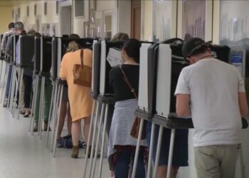 After 2020 Election Debacle Vast Majority of Americans Support Laws to Prevent Voter Fraud  