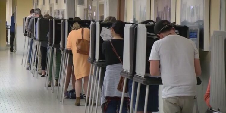 After 2020 Election Debacle Vast Majority of Americans Support Laws to Prevent Voter Fraud  