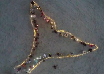 CFACT in court: Feds must halt Dominion’s Virginia offshore wind project now