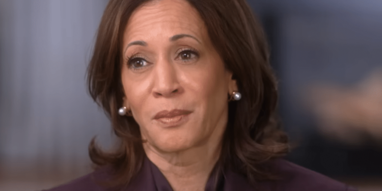 Kamala Harris is lying, only the president and not Congress can declare a border national emergency, re-establish the U.S.-Mexico Remain in Mexico agreement and Title 42 removals