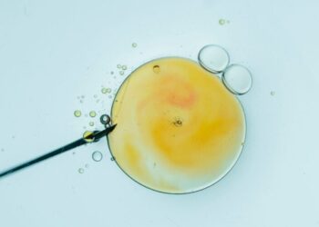 Trump’s Subsidized IVF Spells Disaster 