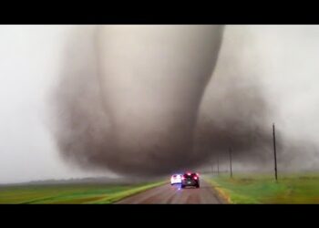 Craziest Nature Videos of the Decade