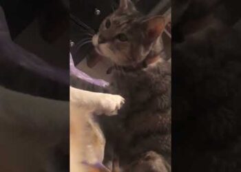 He Was So Offended