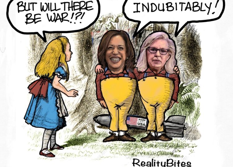 Liz & Kamala Campaign Together