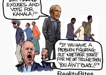 Democrat’s Folly