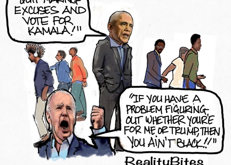 Democrat’s Folly