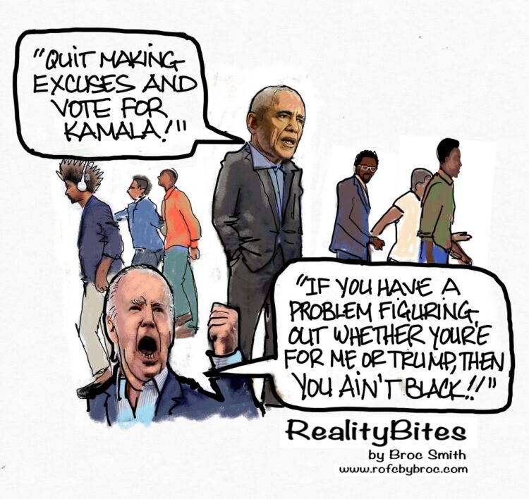 Democrat’s Folly