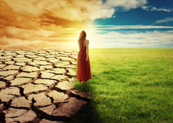 Climate Fact Check September 2024