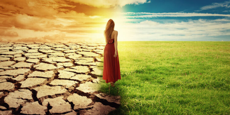 Climate Fact Check September 2024