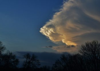 Climate Change Was the Big Election Loser