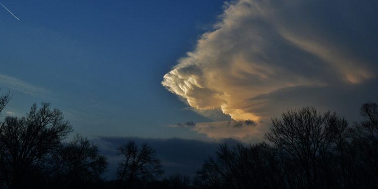 Climate Change Was the Big Election Loser