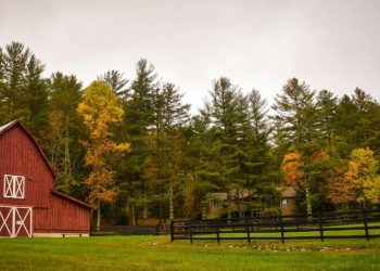 Thank You, Property Rights!