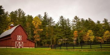 Thank You, Property Rights!