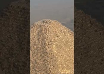 Dog Takes Over Pyramid