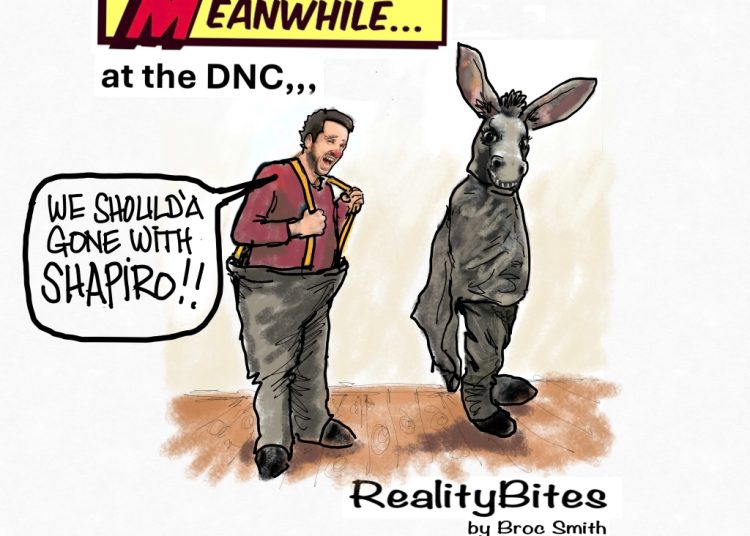 Meanwhile at the DNC,,,