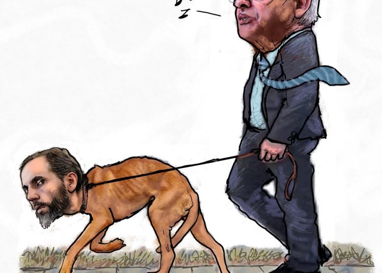 Dogs & Rats
