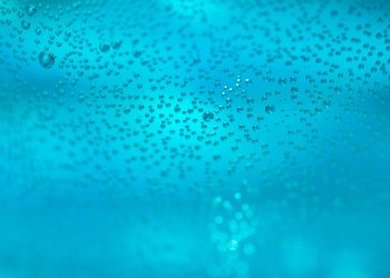 Study: Marine life in oceans has a cooling effect on climate