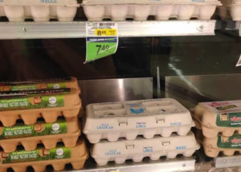 Look At These Egg Prices! 37% Of Americans Struggle To Pay Their Most Basic Bills As Food Prices Accelerate Again