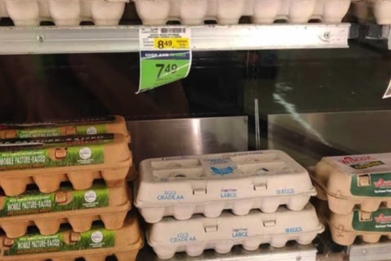Look At These Egg Prices! 37% Of Americans Struggle To Pay Their Most Basic Bills As Food Prices Accelerate Again
