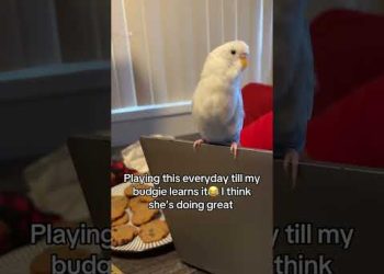 He Knows All The Lyrics