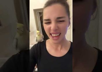 This Bird is a Paid Actor