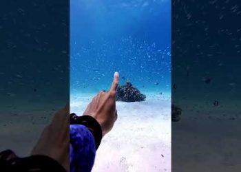 Underwater Superpower