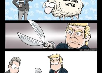 There is a reason why the blue states dont like voter IDs