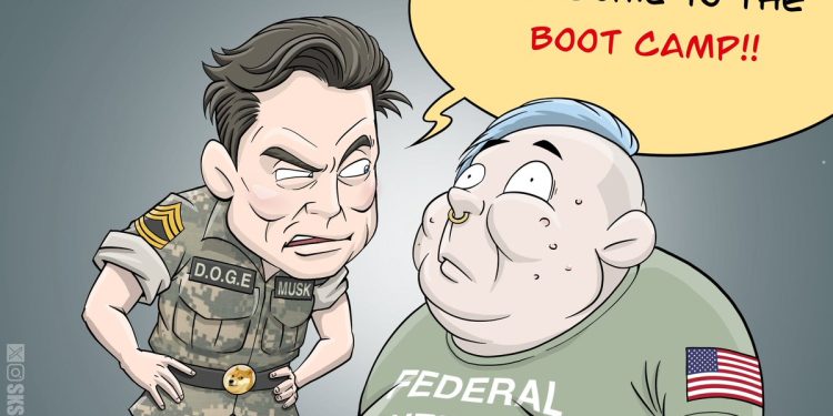 Recap of 2024 in cartoons: December