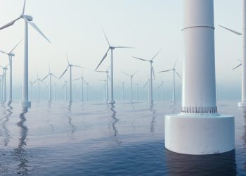 My 41 wind-threatens-whales articles track federal deception