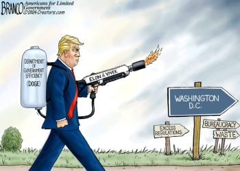 Efficiency Is Not Limited Government