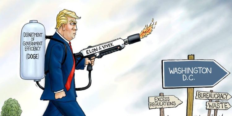 Efficiency Is Not Limited Government