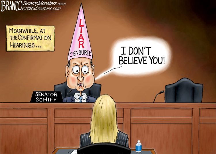 Schiff For Brains