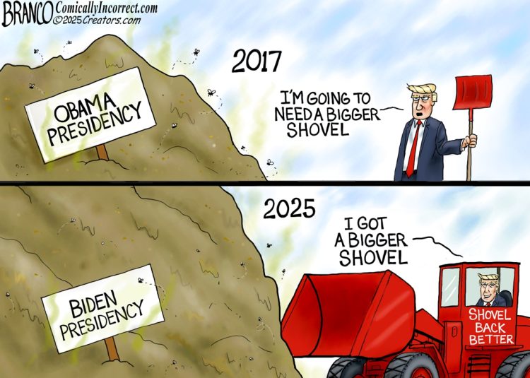 Shovel Back Better
