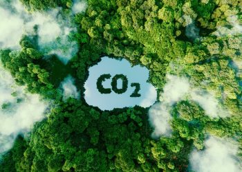 The Saturation effect questions the prevailing narrative on CO2