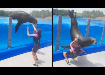 Best Fails of the Decade