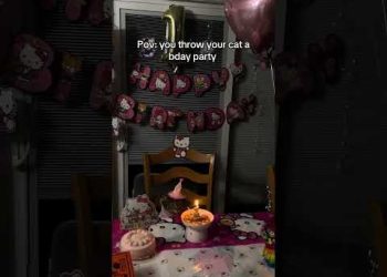 Everyone Deserves This
