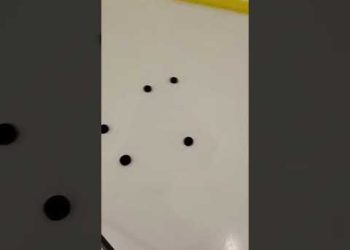 This Skill Level is Insane