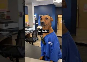 It’s His First Day
