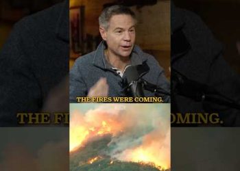 California Fires Breakdown (They Lied)