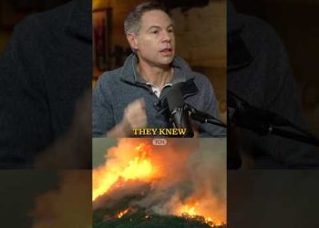 They Are Lying About the LA Fires, Here How