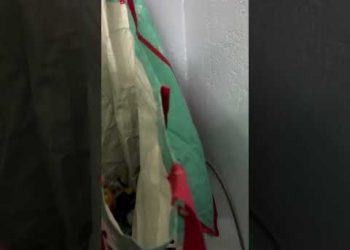 What’s in the Bag?