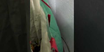 What’s in the Bag?