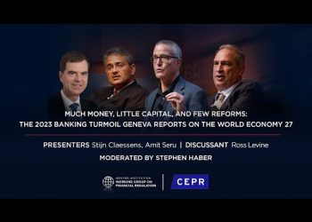 Much Money, Little Capital, and Few Reforms: The 2023 Banking Turmoil