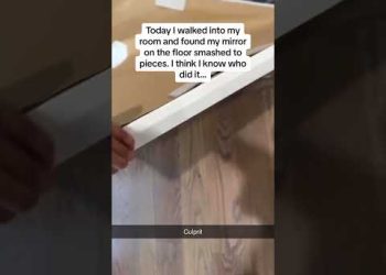He is Guilty