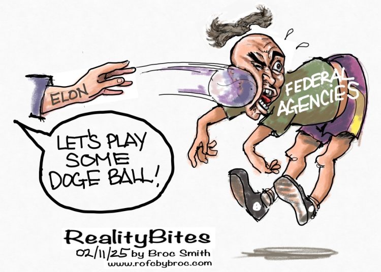 Doge Ball